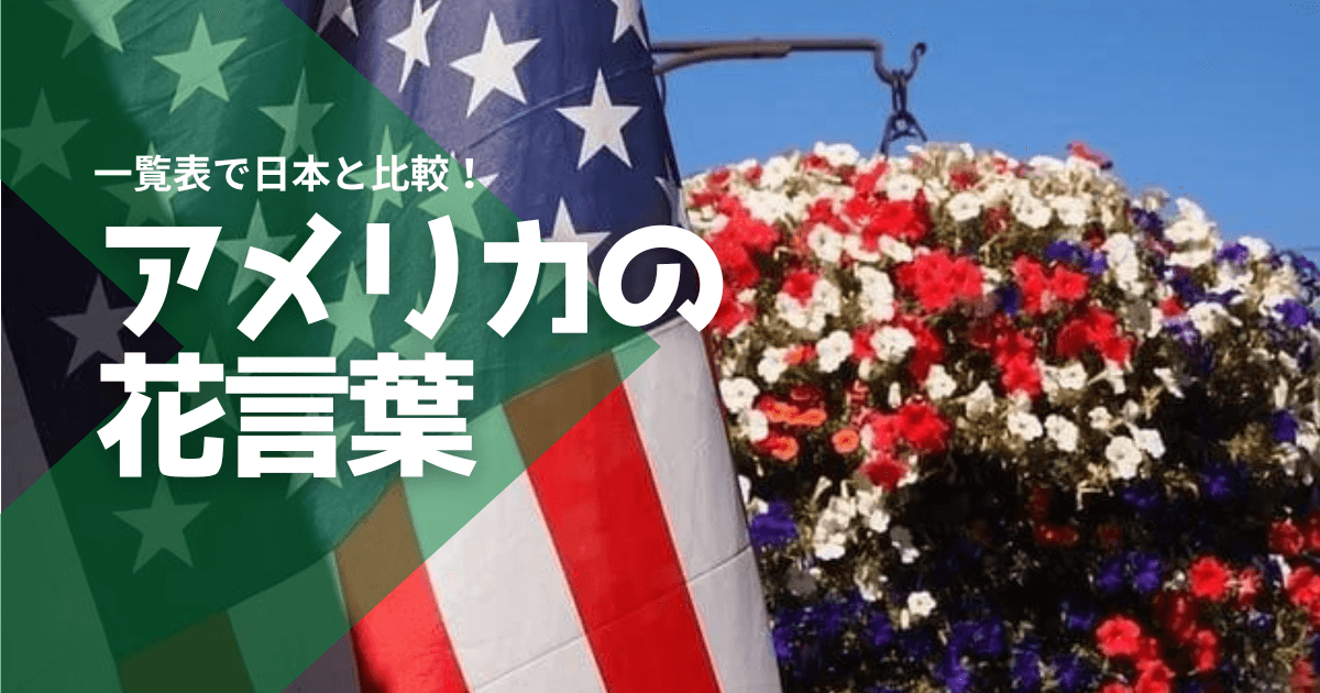 アメリカの花言葉一覧 国で変わる理由と日本との比較も出来る アメリカ Info