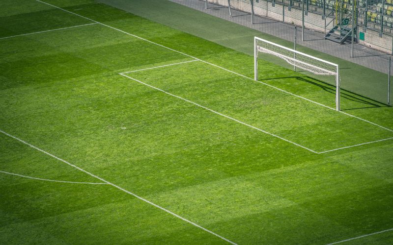 Vai trò quan trọng của đường kẻ trắng trong bóng đá