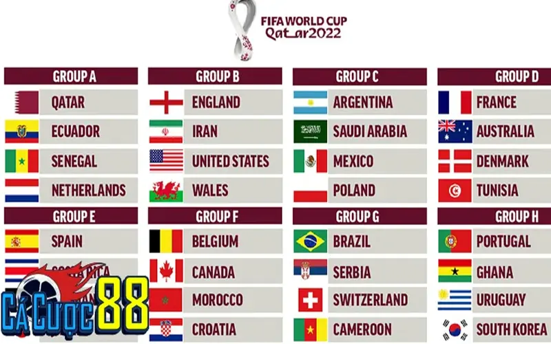 Định nghĩa chi tiết: Vòng chung kết là gì?