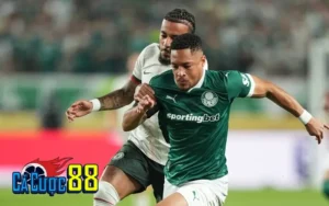 Phân tích đội hình và phong độ